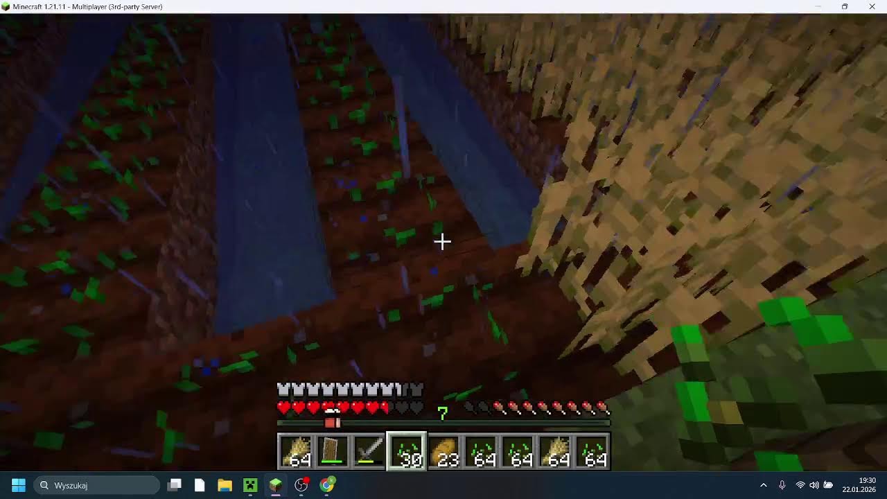 live z serwera hellsmp