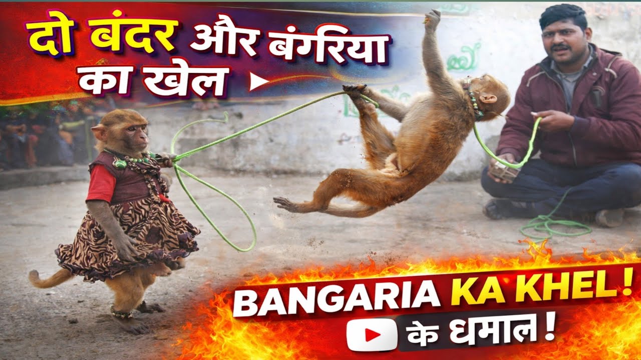🐒🦧Bandar aur bandariya ka Khel 🦧🐒