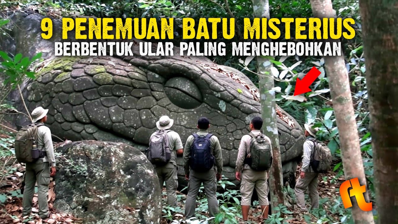9 Penemuan Ular Raksasa yang Menjadi Batu Paling Menggegerkan Warga