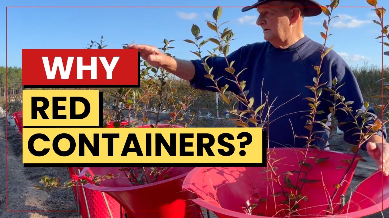 Sun Refractory Planters on our Blueberry Farm I The Blueberry Barn