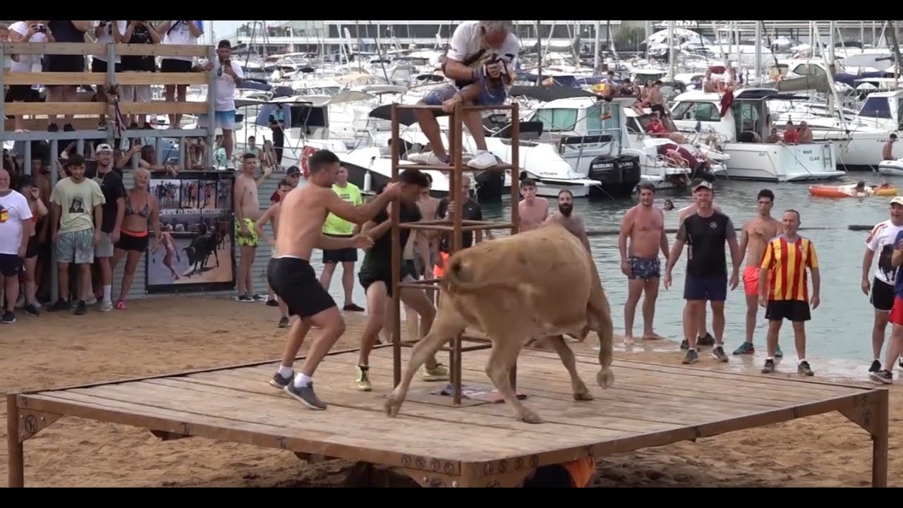🟢DENIA 07 ◾  como suben los toros al Tablao