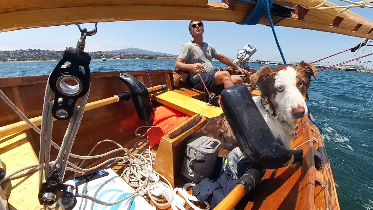 A Boy and a Dog Go For a Sail, Then...