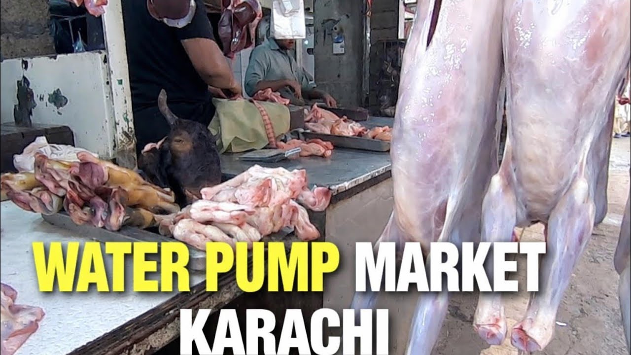 Fresh Meat, Vegitables, Groceries | Visit to Water Pump Market Karachi 
