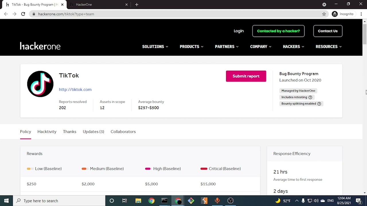 شرح انواع البرامج في منصات اكتشاف الثغرات وطريقة اختيار البرنامج