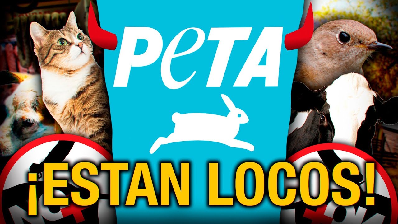 TODAS LAS POLEMICAS Y ATROCIDADES COMETIDAS POR PETA