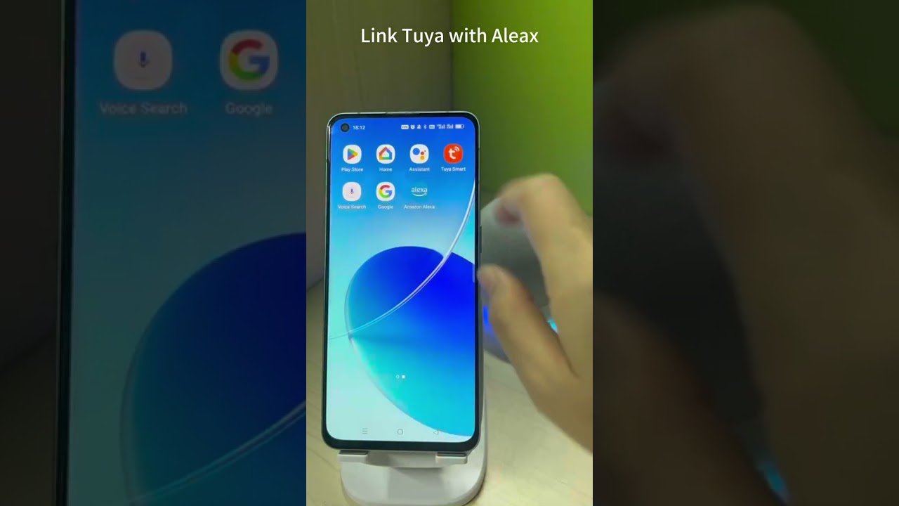 Alexa Connection Instruction