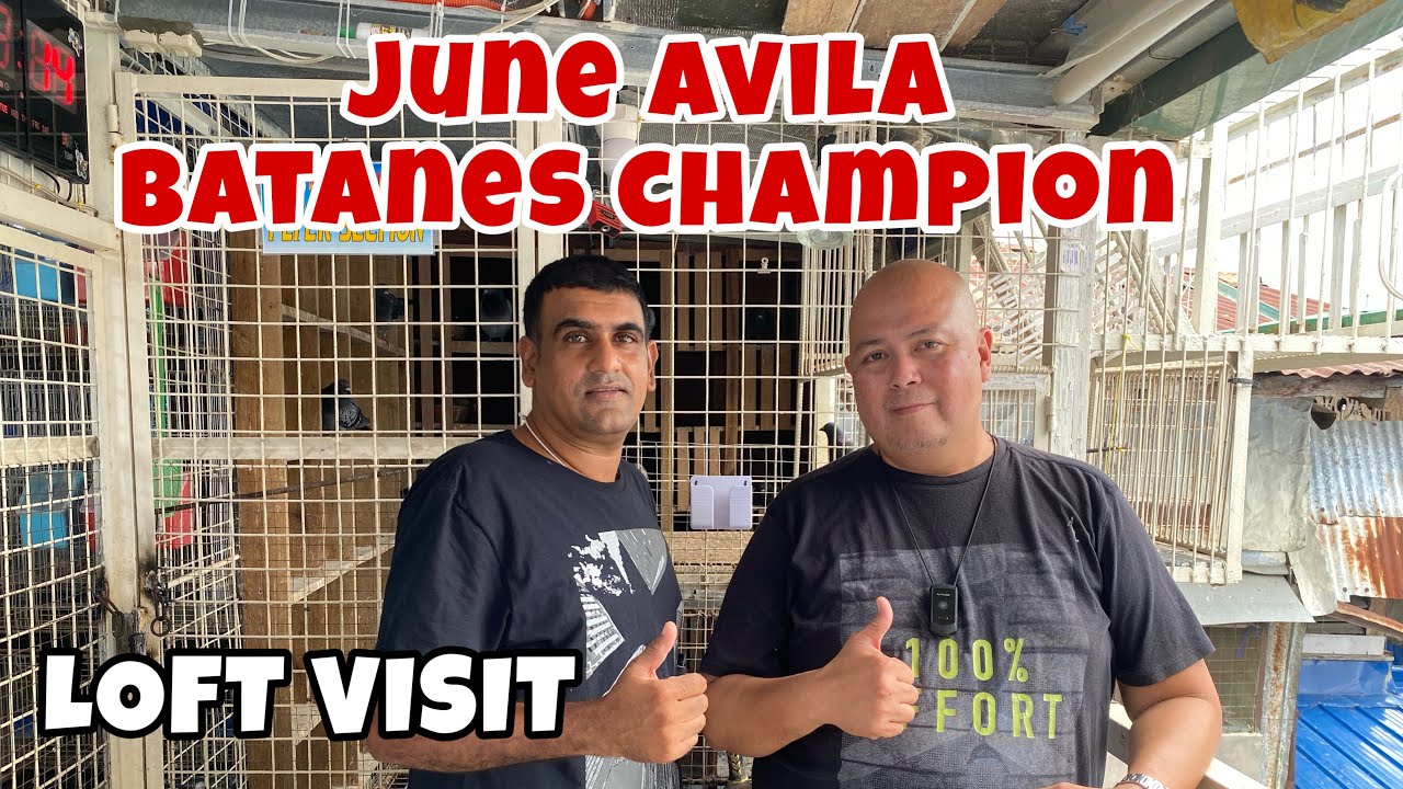 LOFT VISIT KAY JUNE AVILA, BATANES CHAMPION |Reggie Cruz Loft & Aviary #racingpigeon
