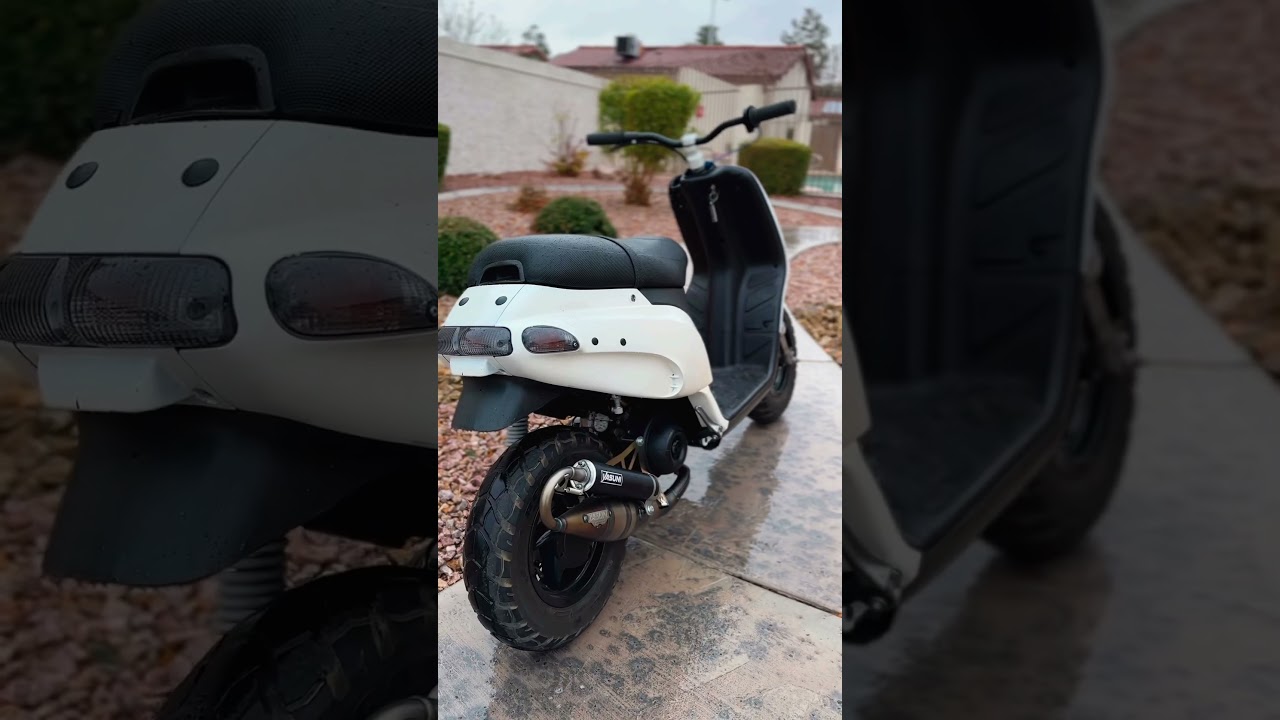 Piaggio Typhoon 70cc🤌
