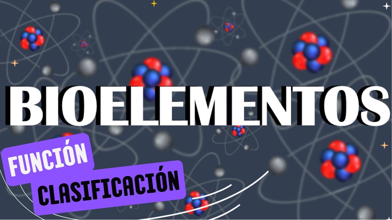 BIOELEMENTOS: Primarios, Secundario y Oligoelementos. [CLASIFICACIÓN Y FUNCIÓN]