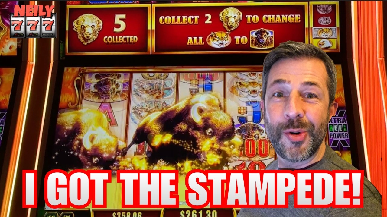 The STAMPEDE MEANS a HUGE WIN IS COMING! Buffalo Gold Cash BIG WIN!