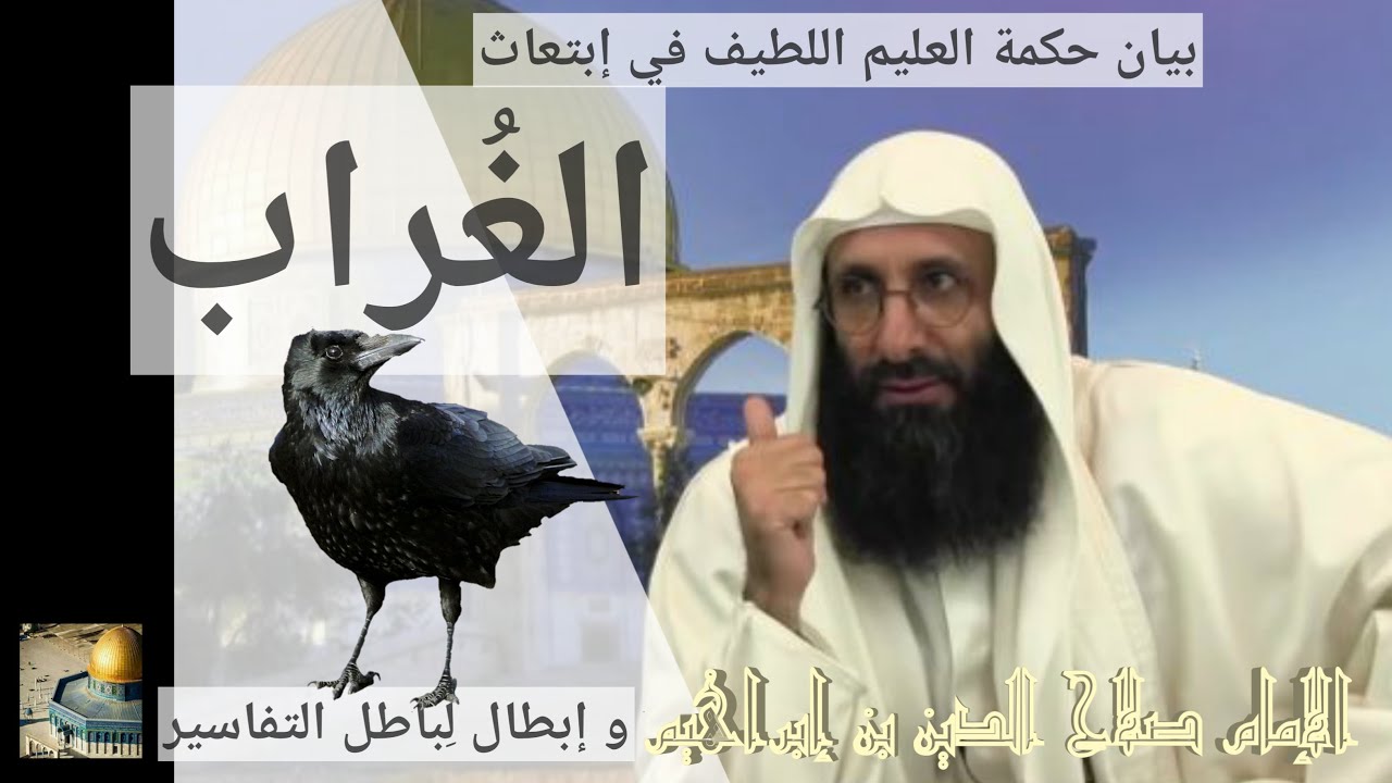 بيان لحكمة العليم اللطيف في إبتعاث الغراب و إبطال لباطل التفاسير. الإمام صلاح الدين بن إبراهيم