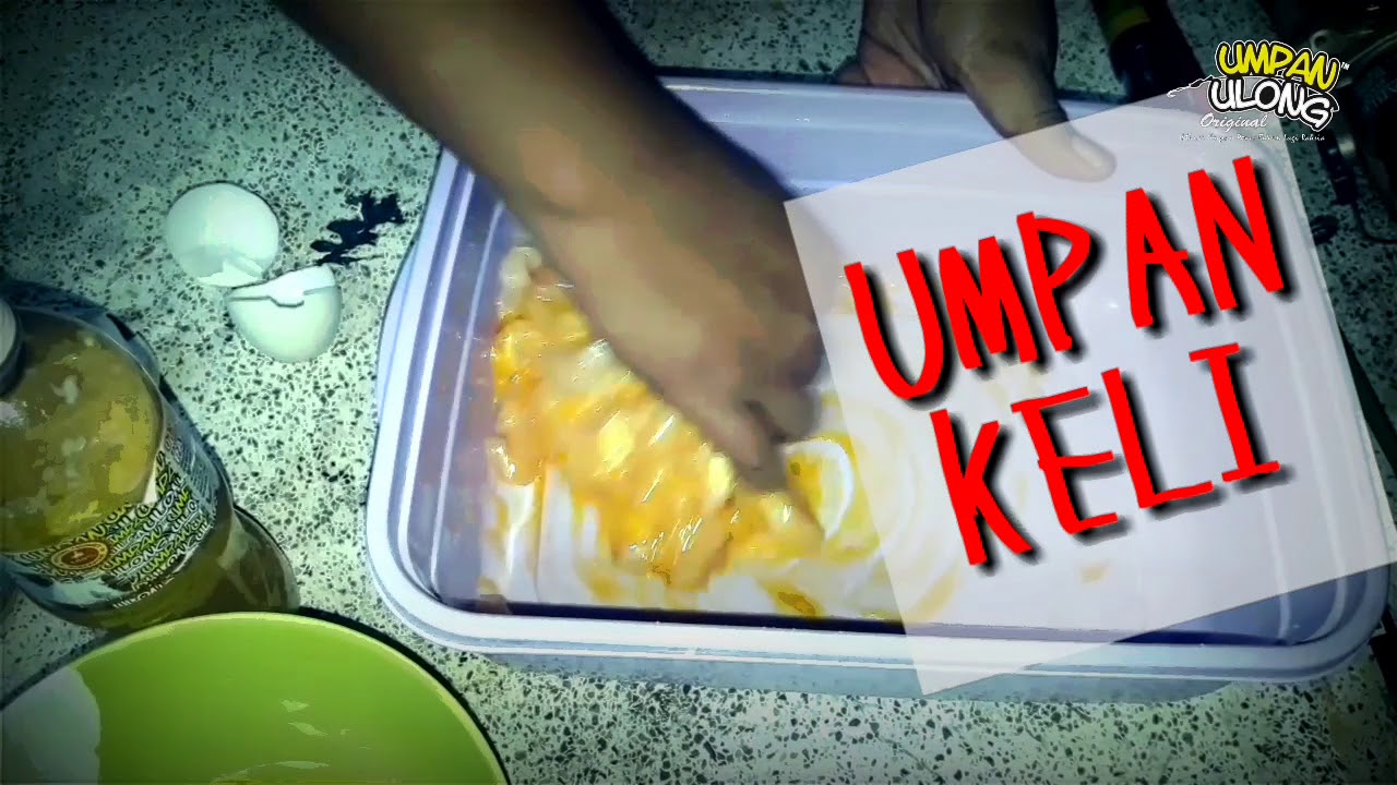 UMPAN KELI / LELE POWER - Minyak Kelimak