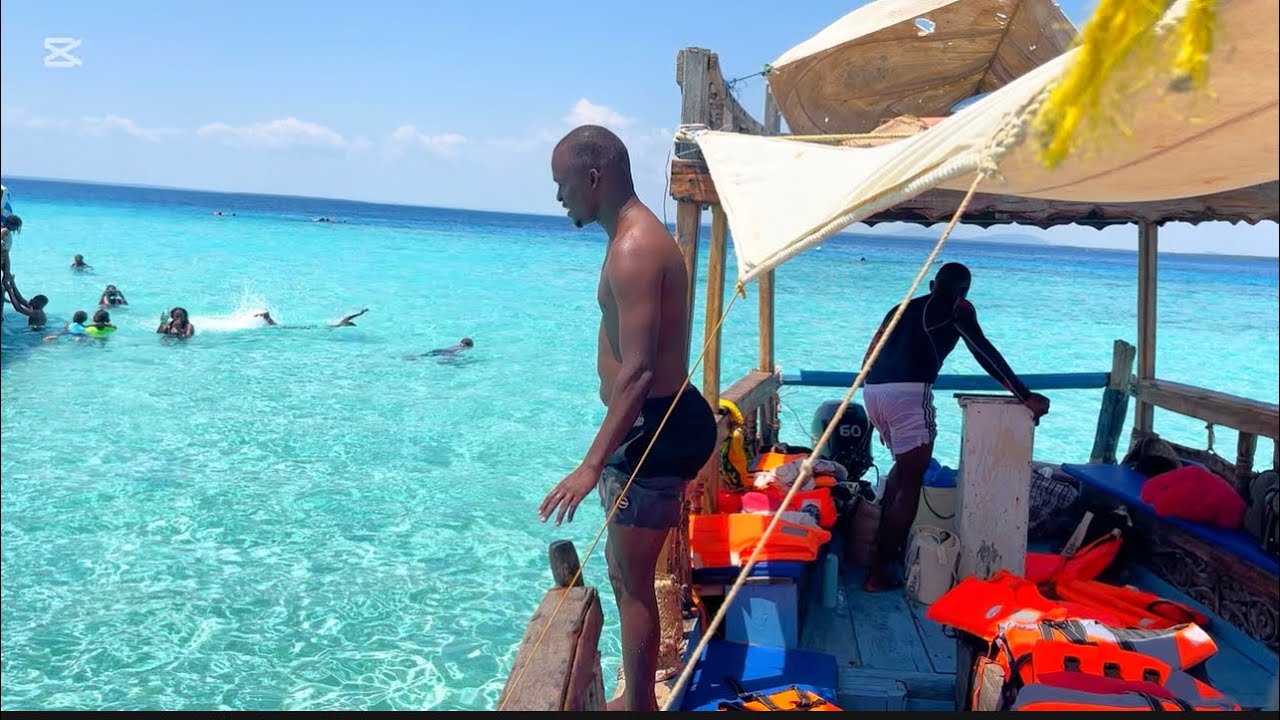 VLOGMAS EP 3. DIANI WASINI DOLPHIN TOUR | KISITE MPUNGUTI . #beachvacation #travel #diani #beach 