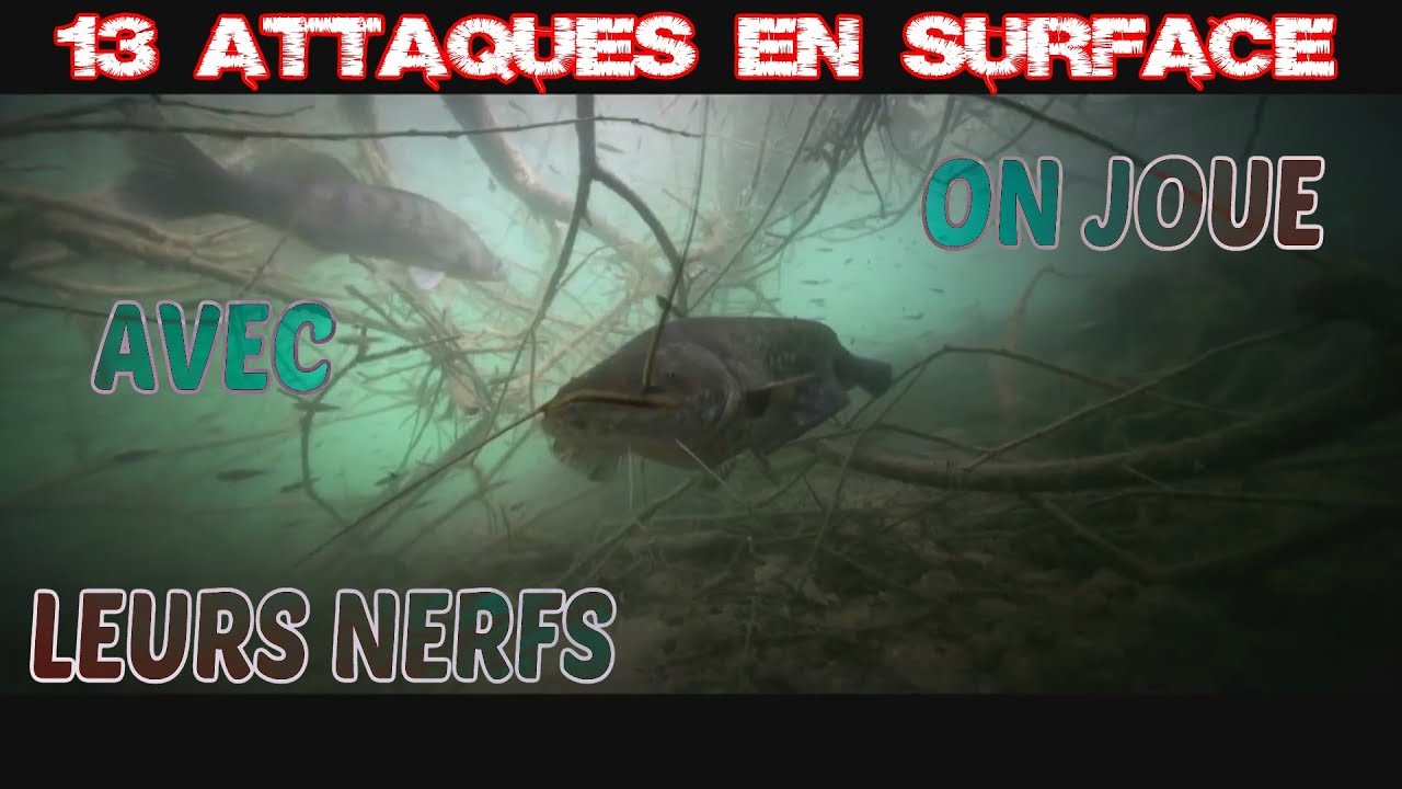 PÊCHE D'ENFER AU PARADIS #4   