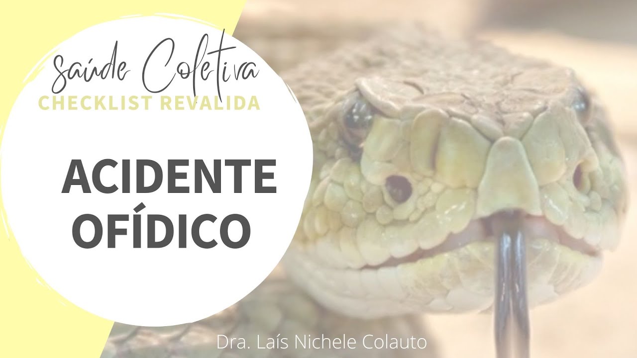 CHECKLIST: acidente ofídico botropico (jararaca) e crotálico (cascavel) (LIVE REVALIDA INEP)
