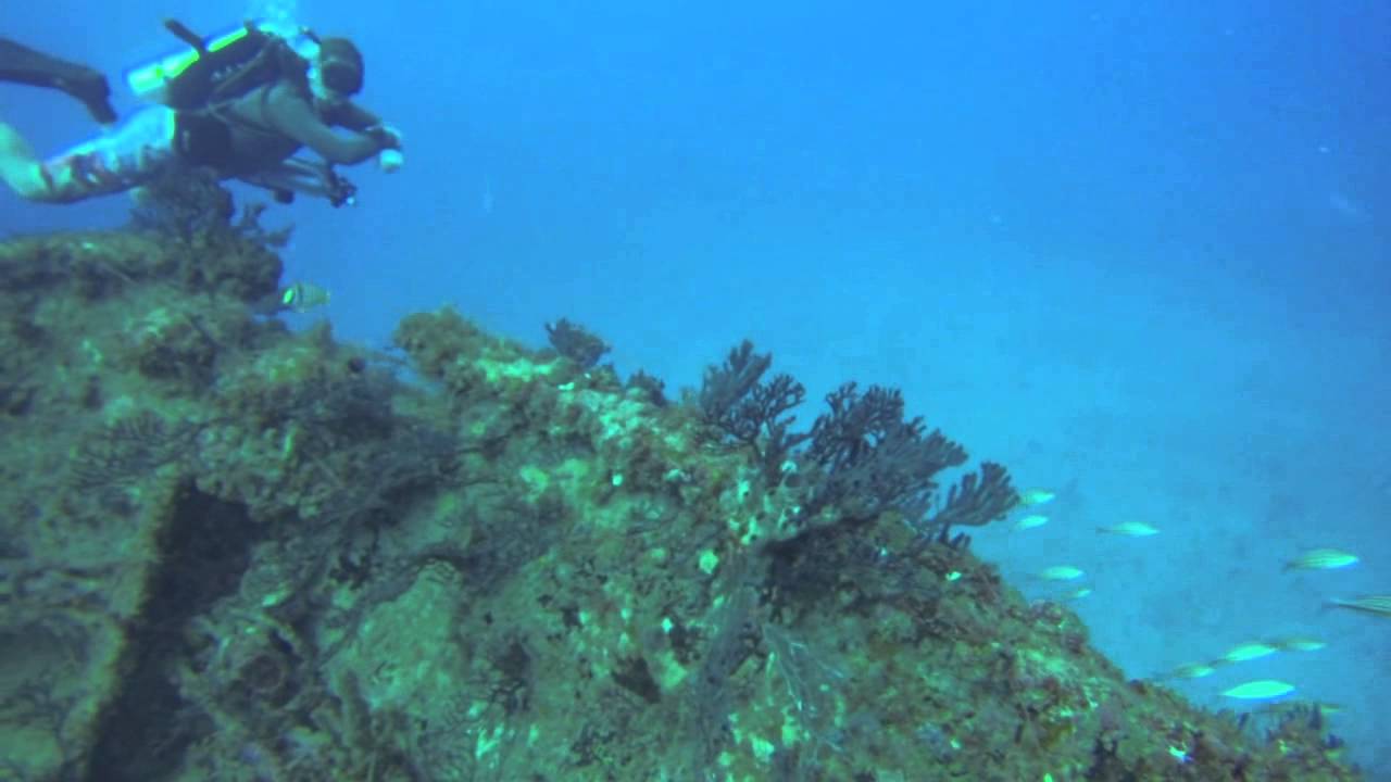 Deep Freeze Wreck Dive Miami