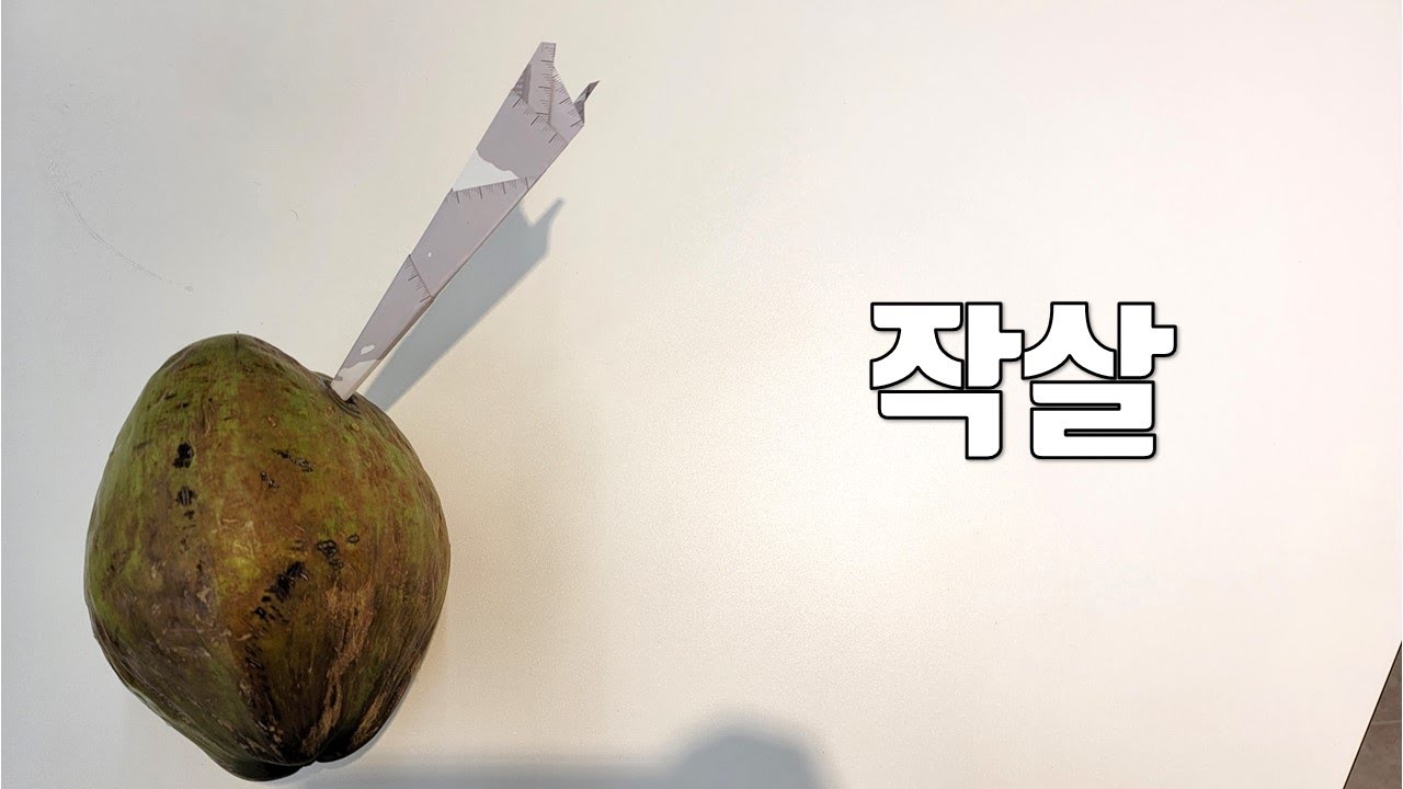 수박보다 단단한 코코넛에 도전하는 작살 종이비행기 접기! 극초음속 비행기의 과학 원리