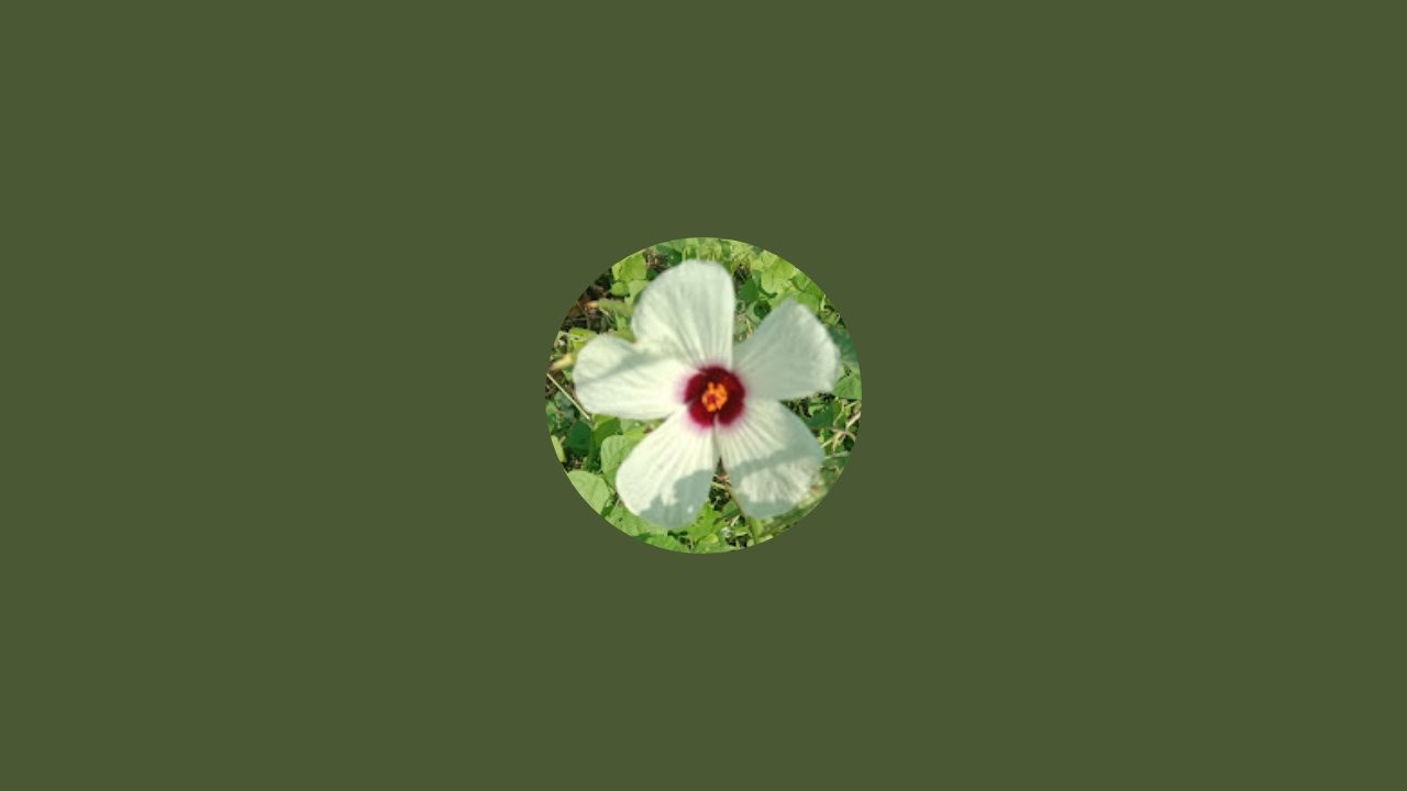 Revathi Teacher is live