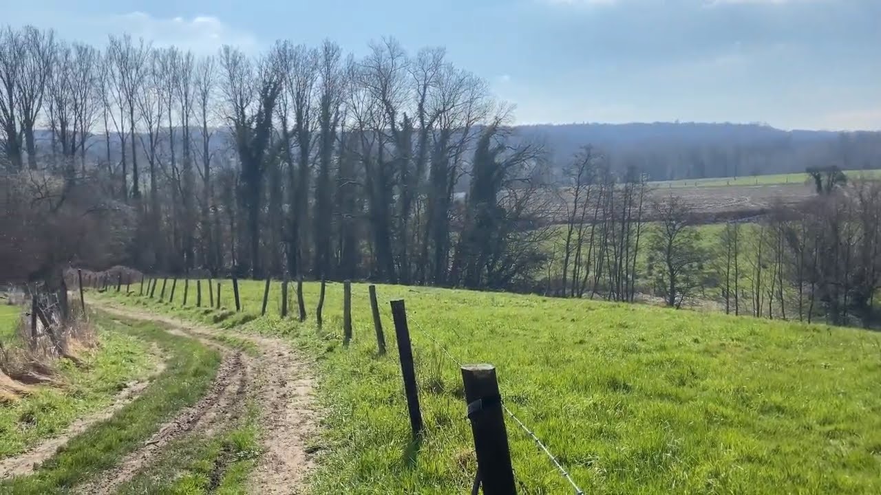 Wandelen in de streek van Ellezelles