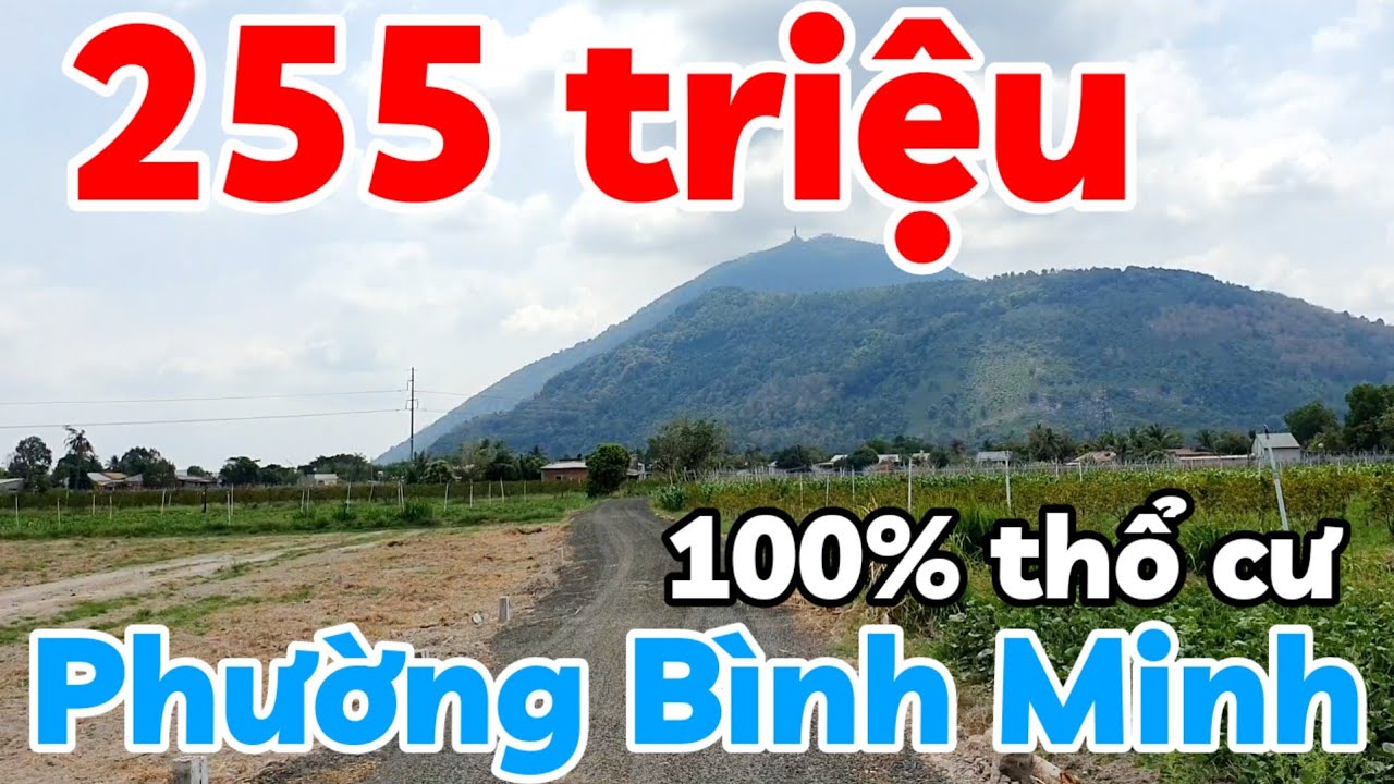 Đất 255 triệu 100% thổ cư gần Núi Bà Đen phường Bình Minh Tây Ninh bao sổ hồng riêng đường xe ô tô