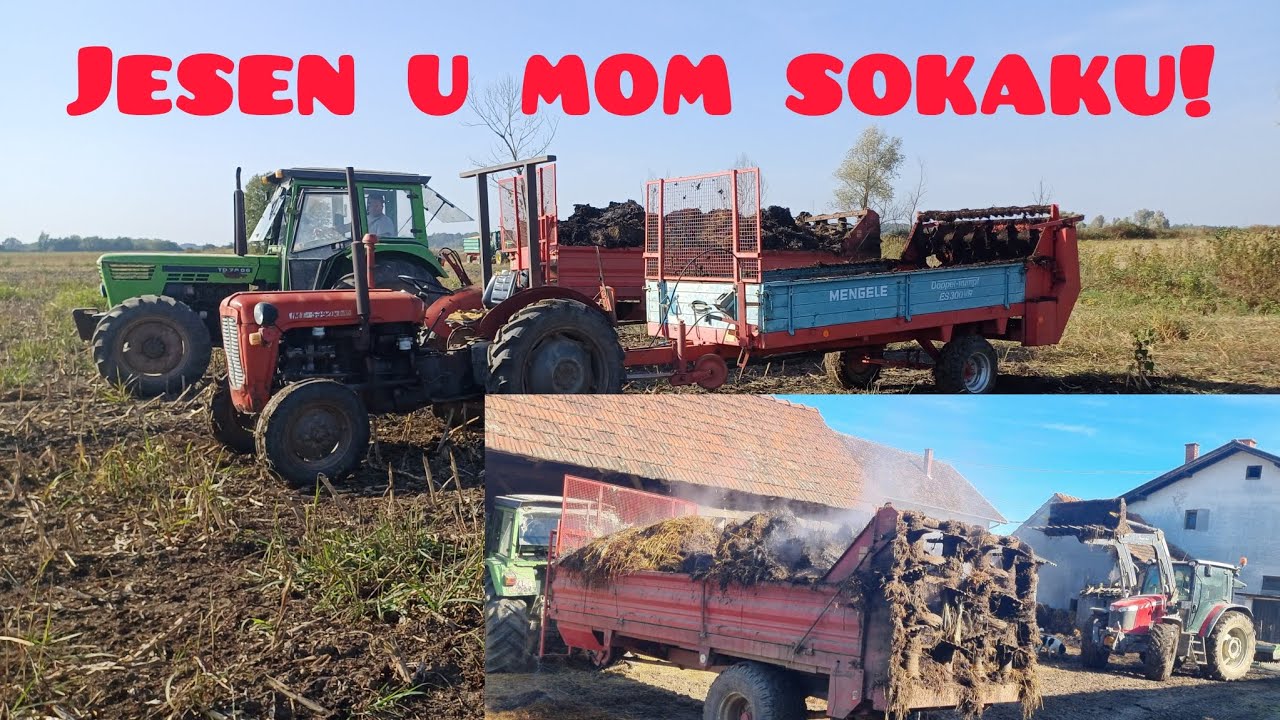 Vožnja stajskog gnoja! | Hauling solid manure!