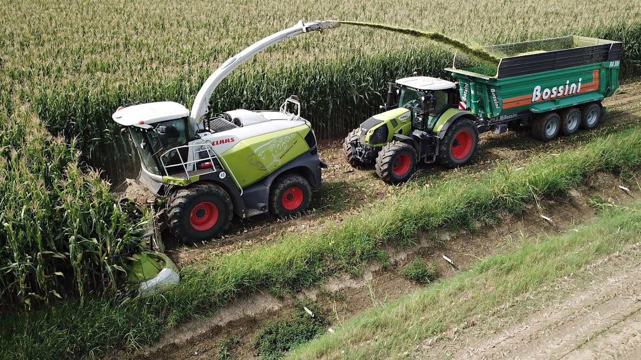 Claas Jaguar 980 | Trinciatura mais 2023