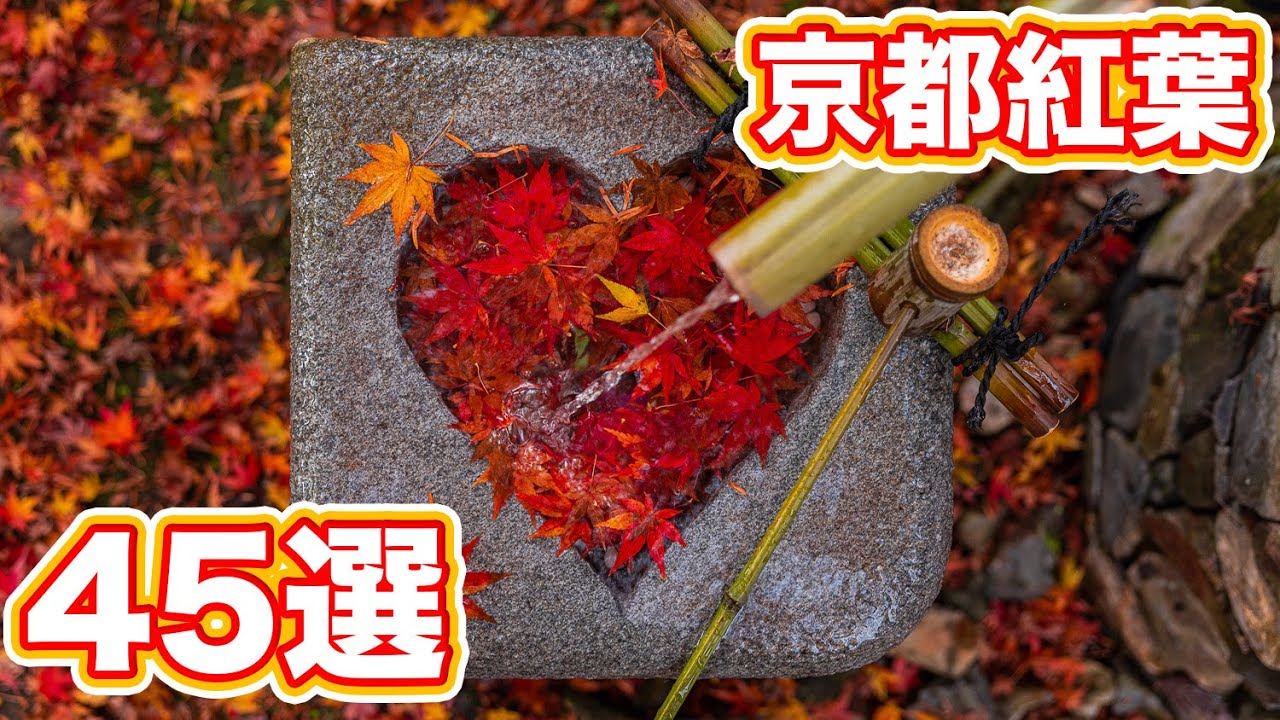 【京都】京都の紅葉 絶景おすすめ45選【名所と穴場】