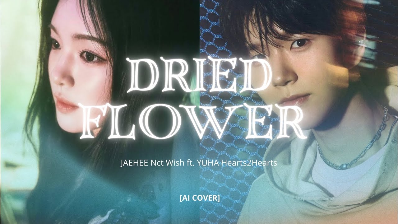 'ドライフラワー (Dried Flower)' ai cover by Jaehee Nct Wish ft. Yuha Hearts2Hearts (Romanized) Lyrics