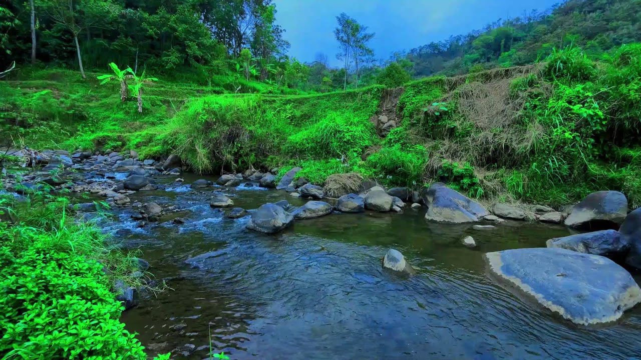 River Sound for Deep Sleep. Gentle Flowing Water for Relaxation, Meditation, Focus and Stress Relief