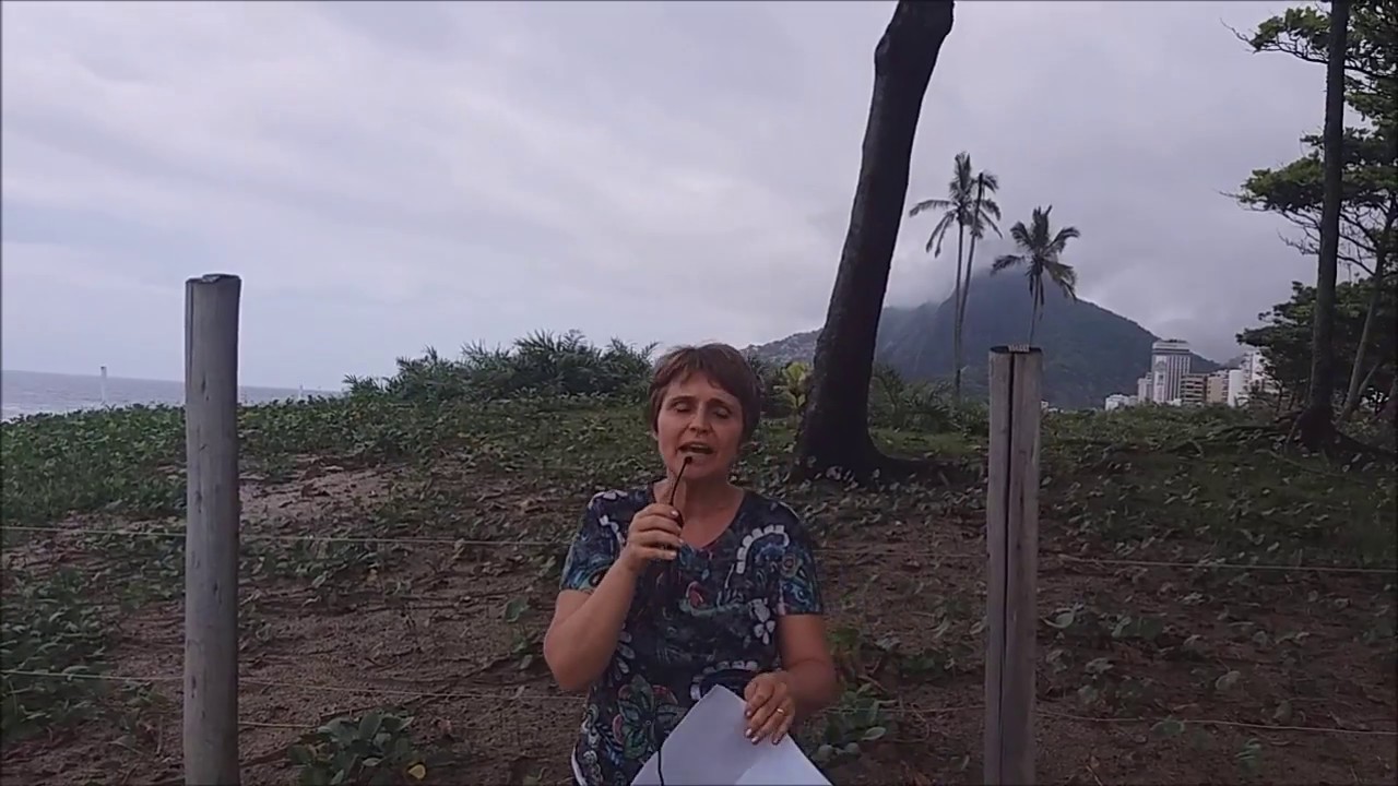 Um Curso em Milagres - A origem das percepções
