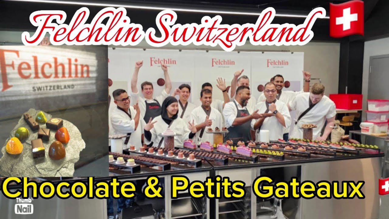 Chocolate tour & training in Switzerland l how to make pralines & petits Gateaux.4K.working in Swiss