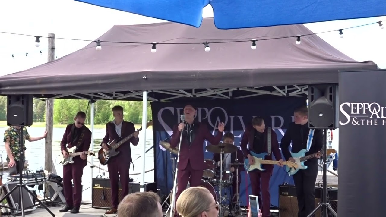 Seppo Alvari & The Hikers  -  Vihreät Niityt  -  live 15.6.2024