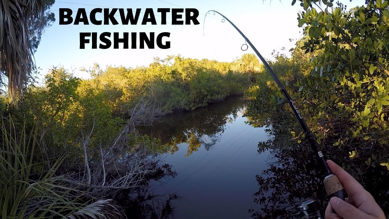 Backwater Snook and Tarpon Fishing