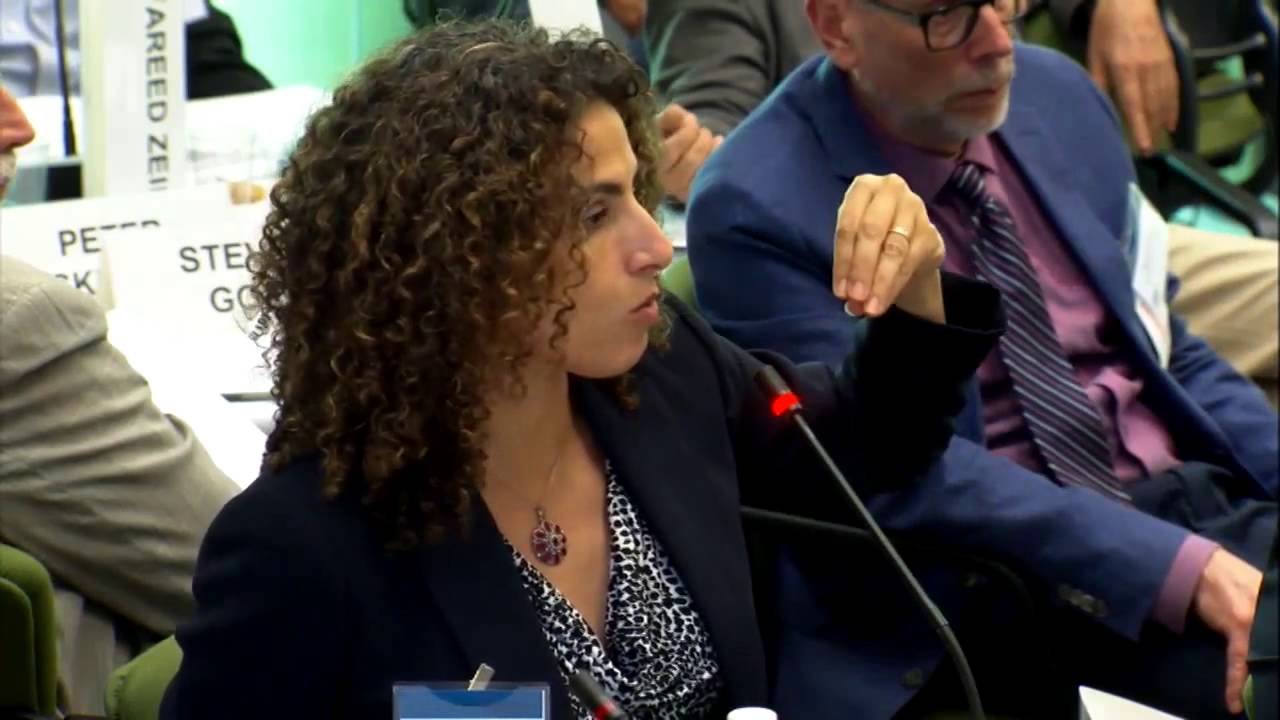 Forum on Ethnic Groups from the Middle East & North Africa (MENA), 5/29/15, Part 4