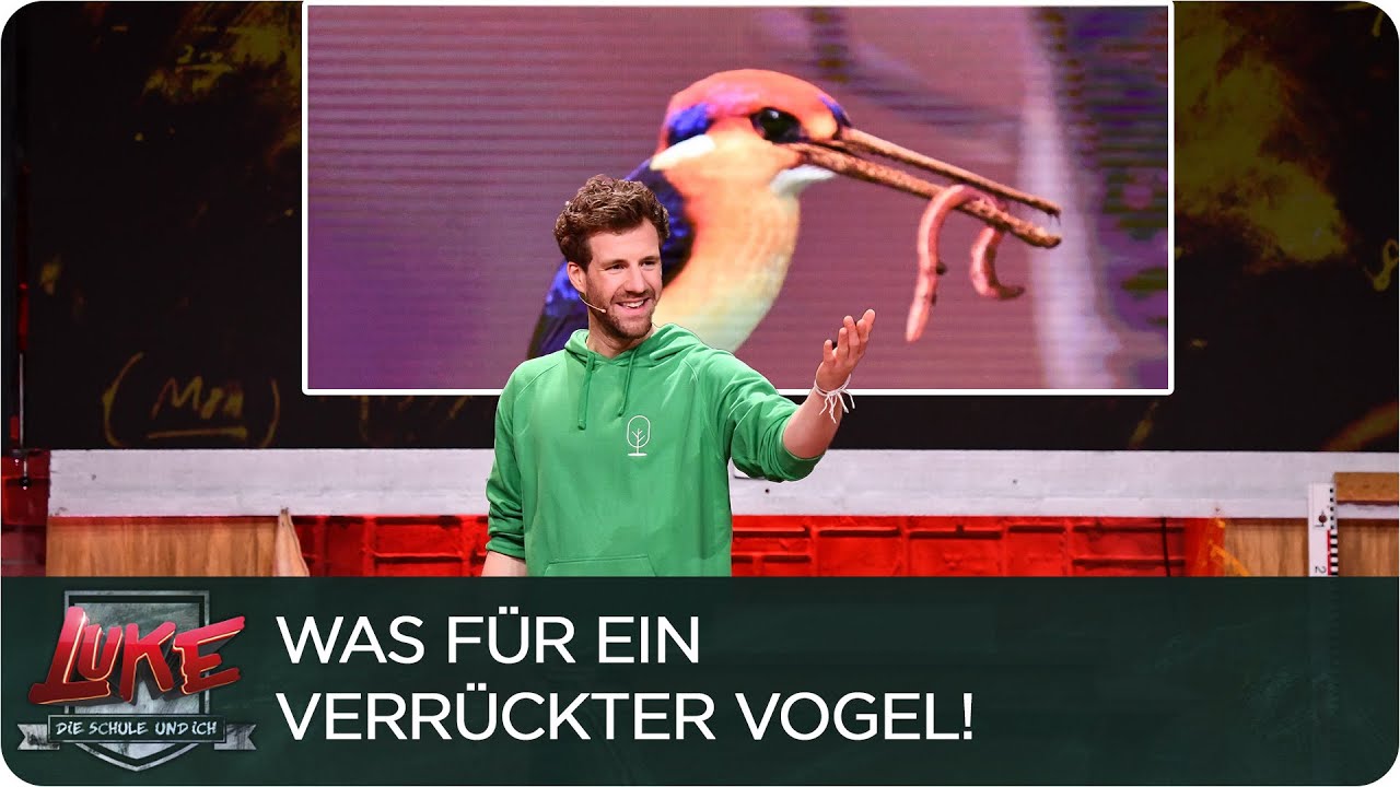Vogel oder Fake? | 9. Klasse | LUKE! Die Schule und ich