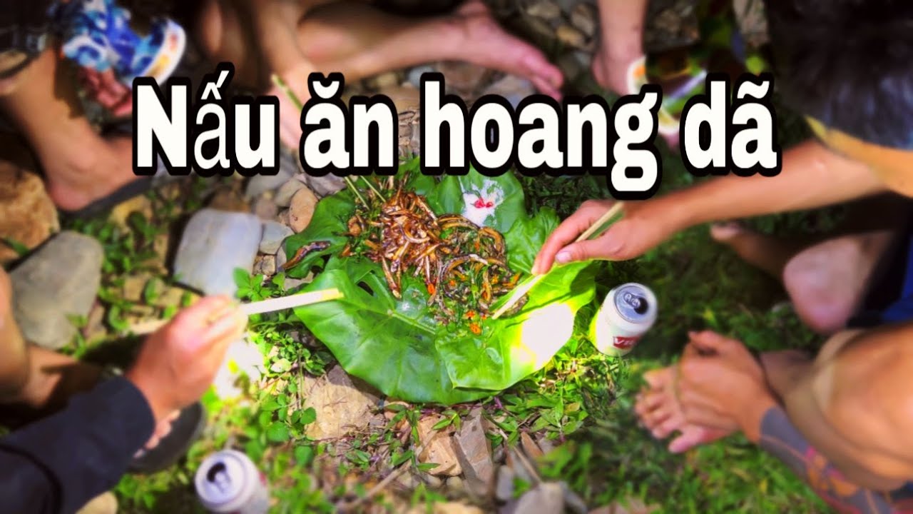 Câu Lươn Đồng – Bữa Ăn Giữa Đêm Ngoài Đồng