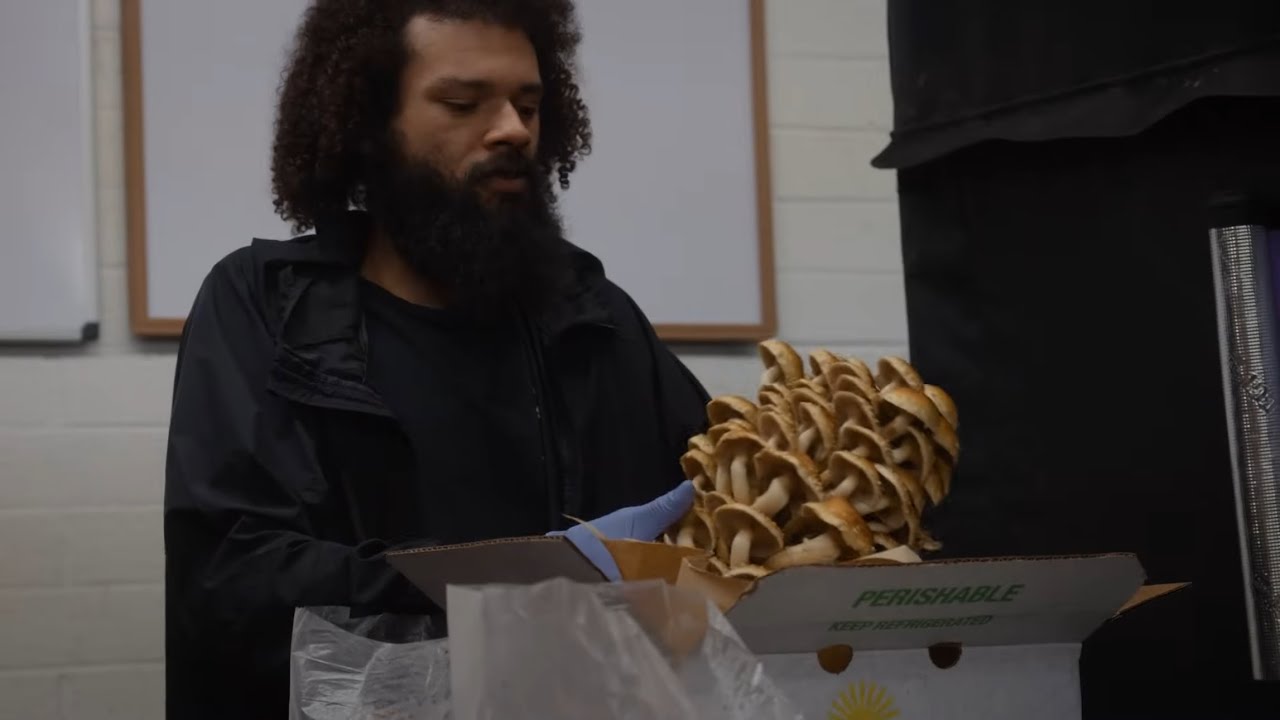 Консалтинг по выращиванию грибов внутри фермы | Реальные решения от Southwest Mushrooms
