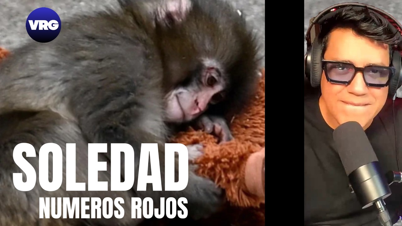 SOLEDAD terribles resultados