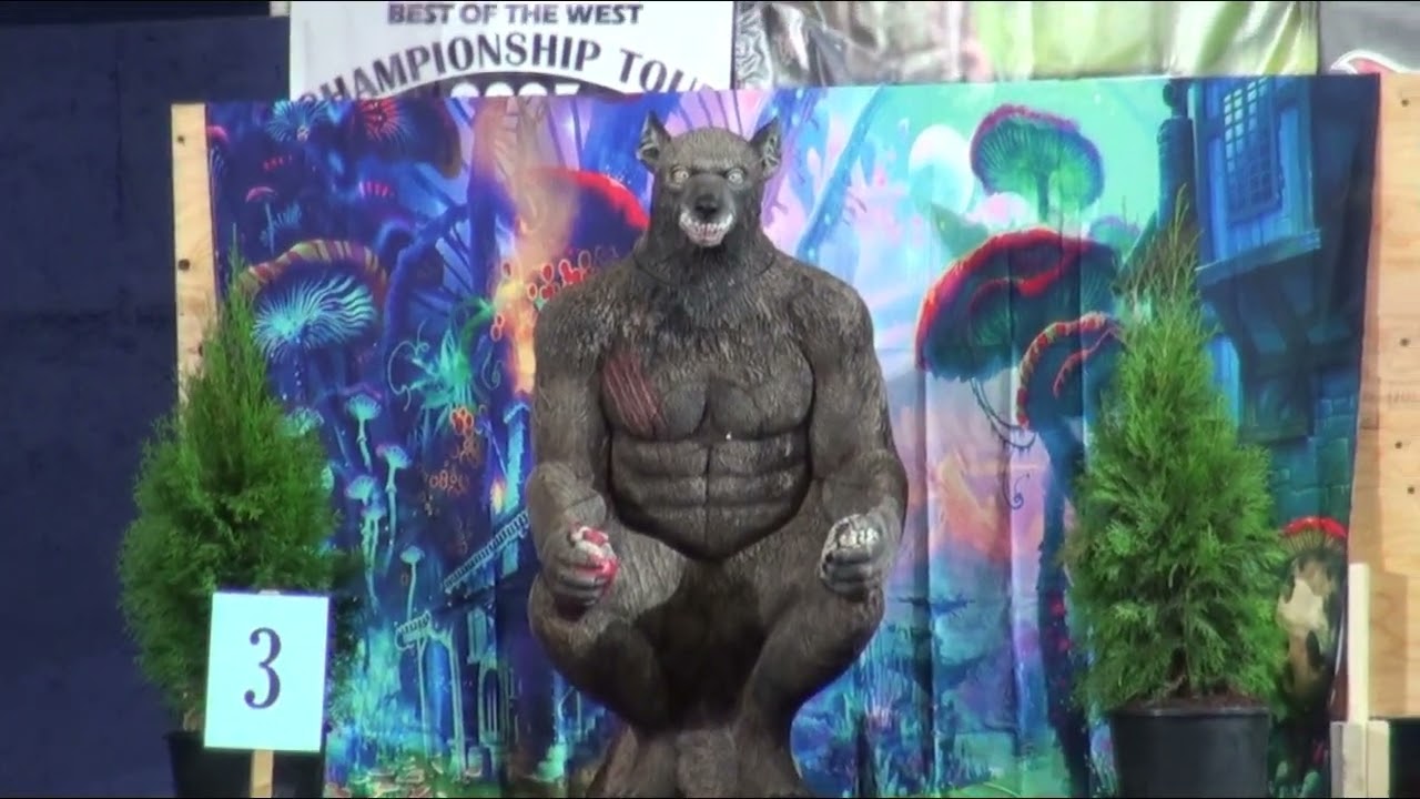 Best of the West Archery Competition ~ Fixed Pins Men ~ PNE Finals