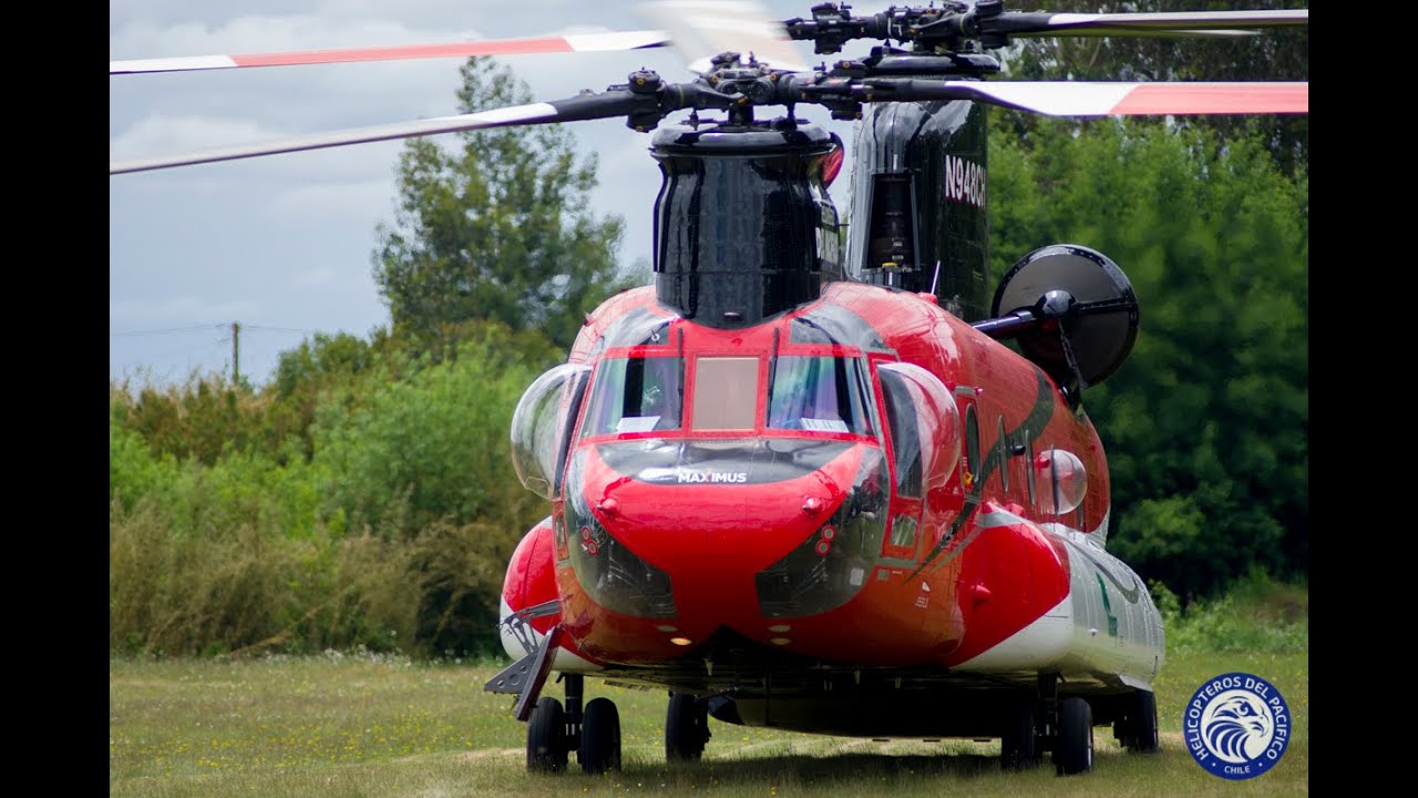 Maximus  El Chinook
