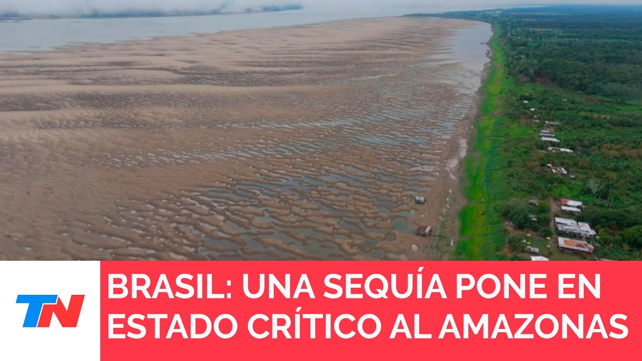 La sequ&iacute;a en Brasil pone en situaci&oacute;n cr&iacute;tica a los r&iacute;os afluentes del Amazonas