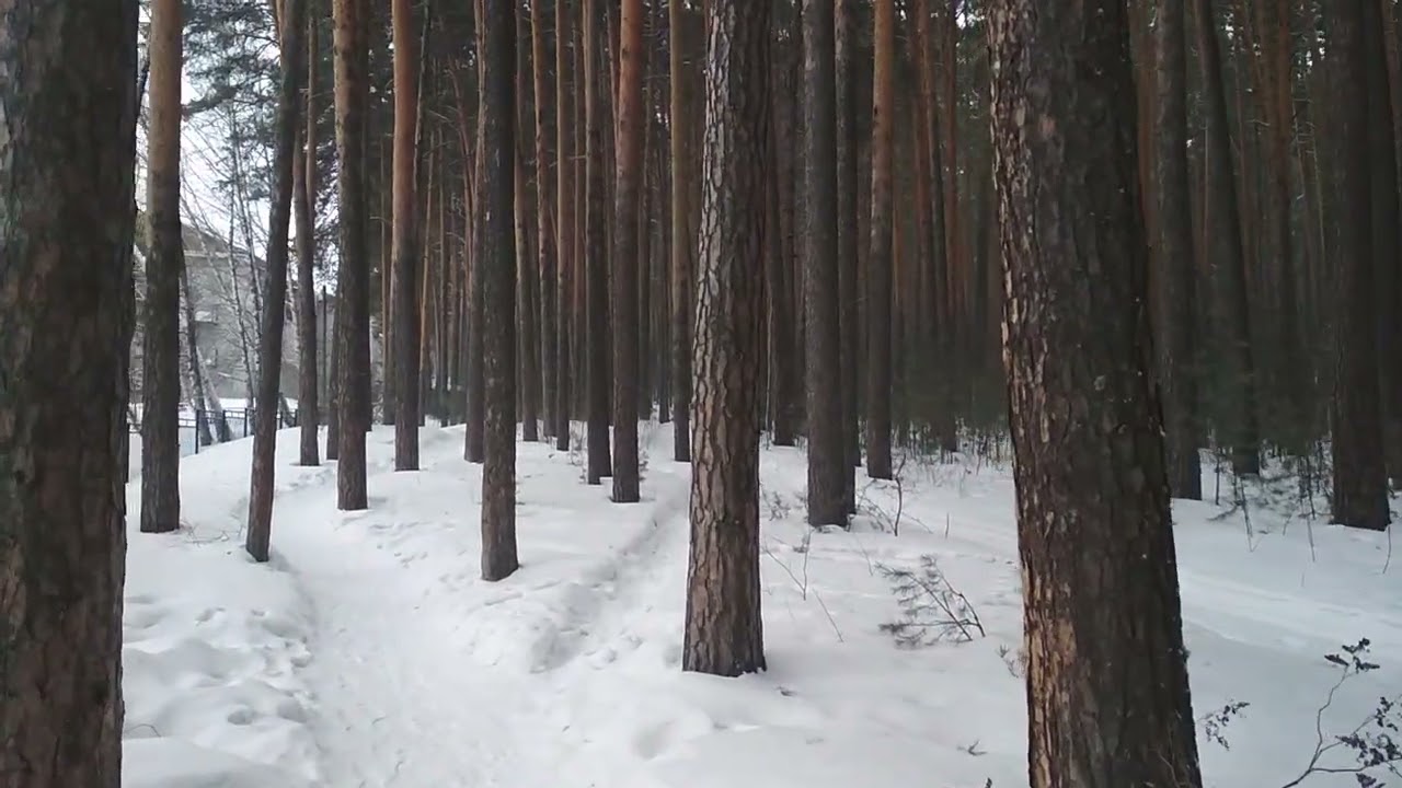 Сознание дворника