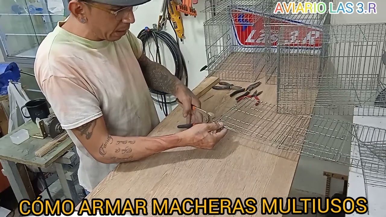 😲JAULAS MACHERAS MULTIUSOS (INDIVIDUAL) (PARÁ CRIA) Y (VOLADERAS) CON PAPEL DE ROLLO Y DESARMABLES 🤯
