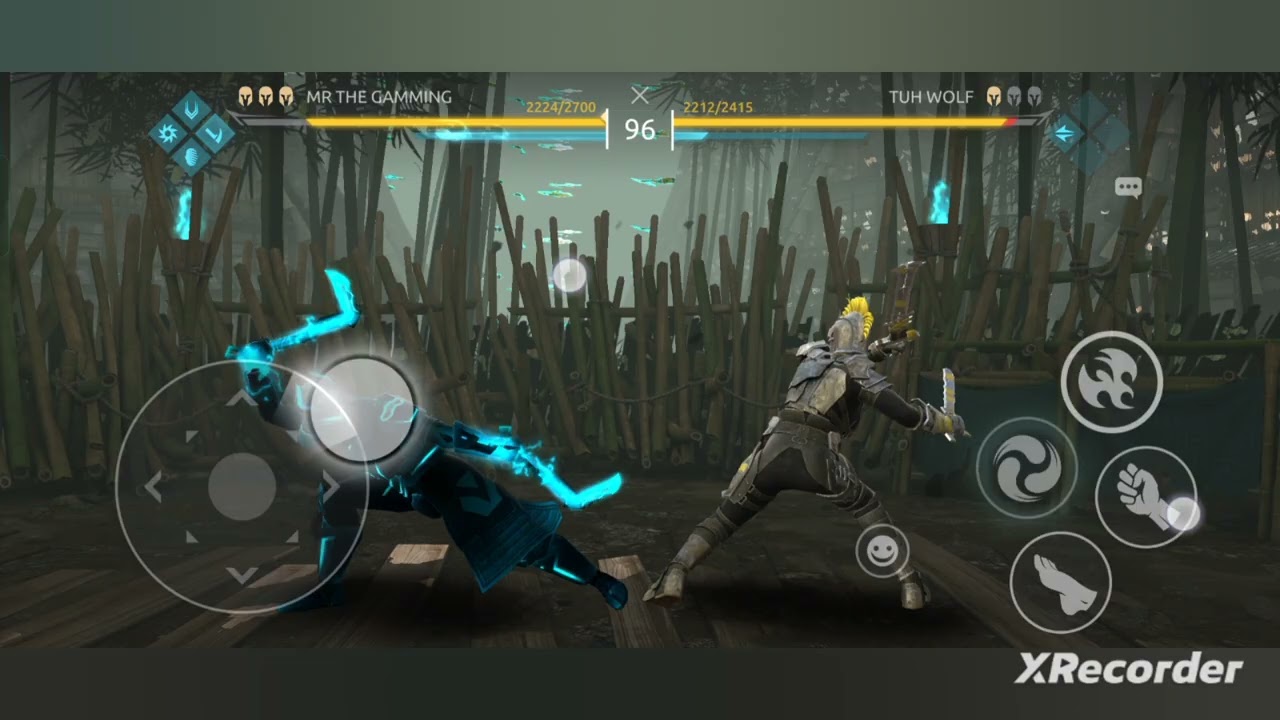 Shado fight 4 