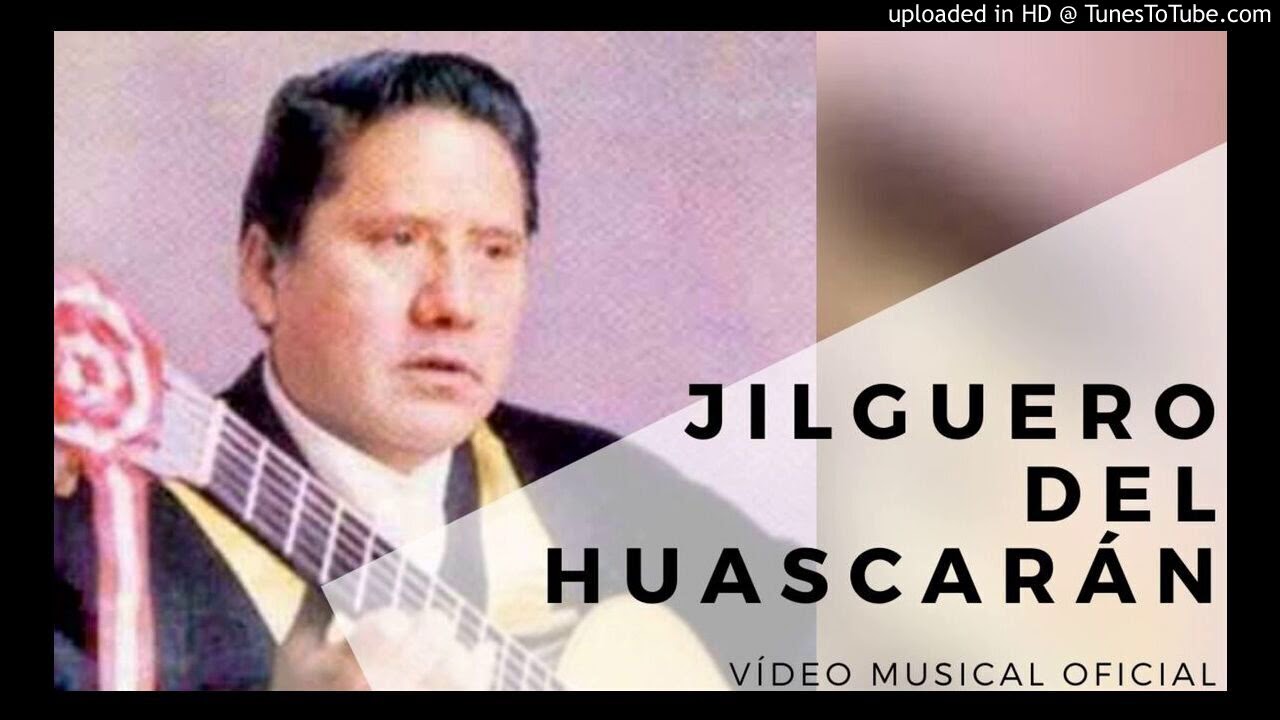 Jilguero del Huascarán - 