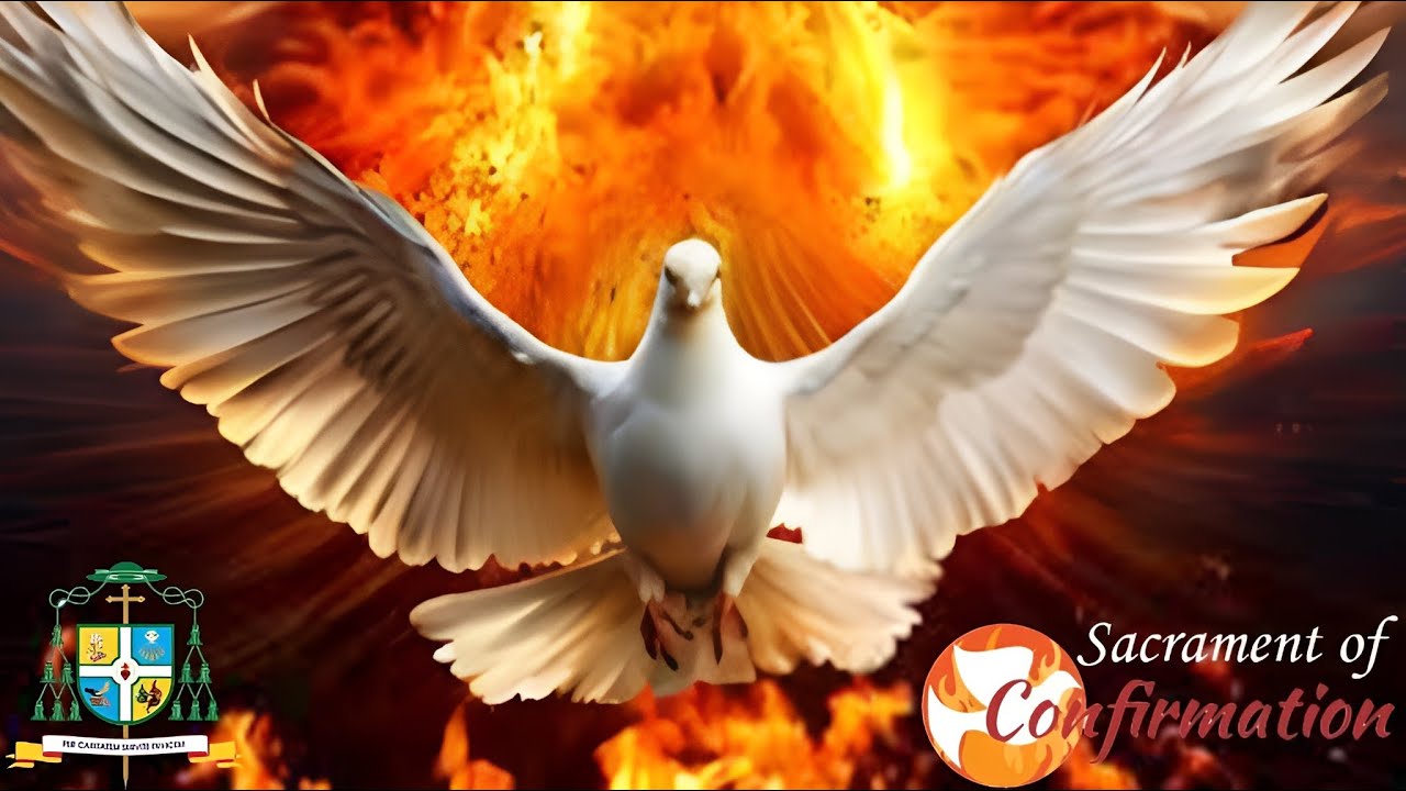 07-09-2025 | LIVE | Sacrament of Confirmation | Holy Cross Catholic Church.