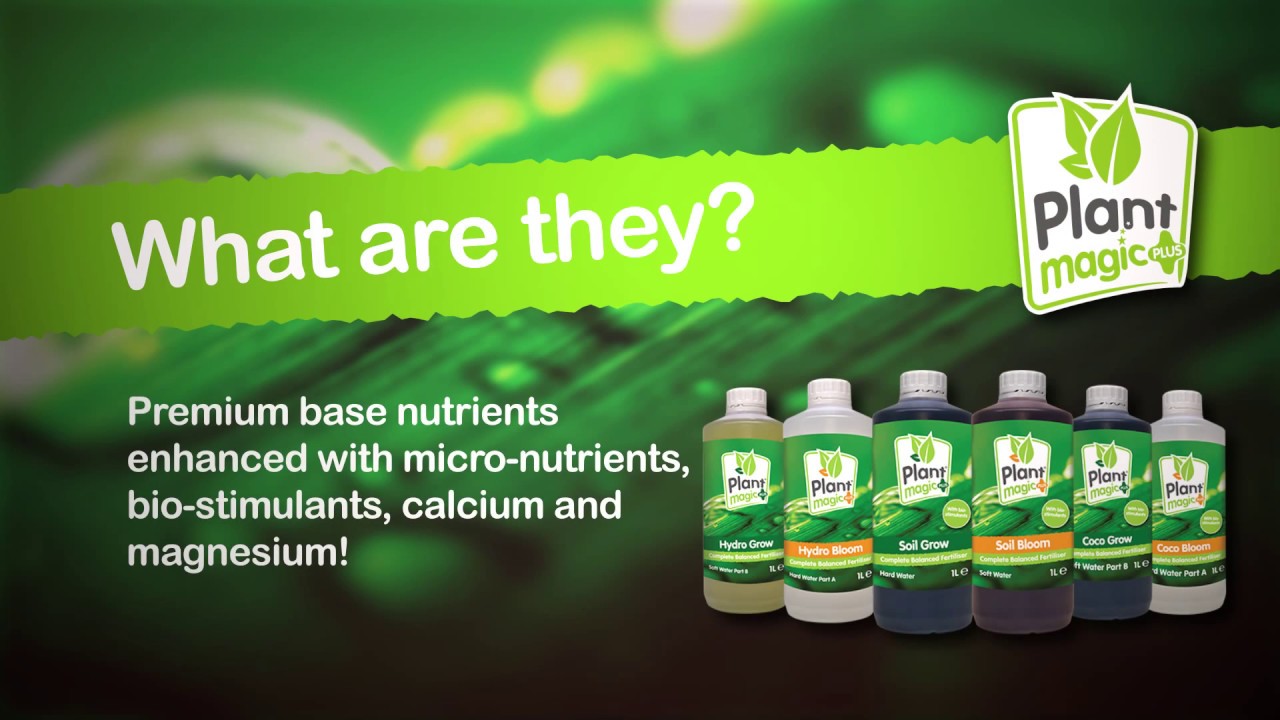 Plant Magic Base nutrients