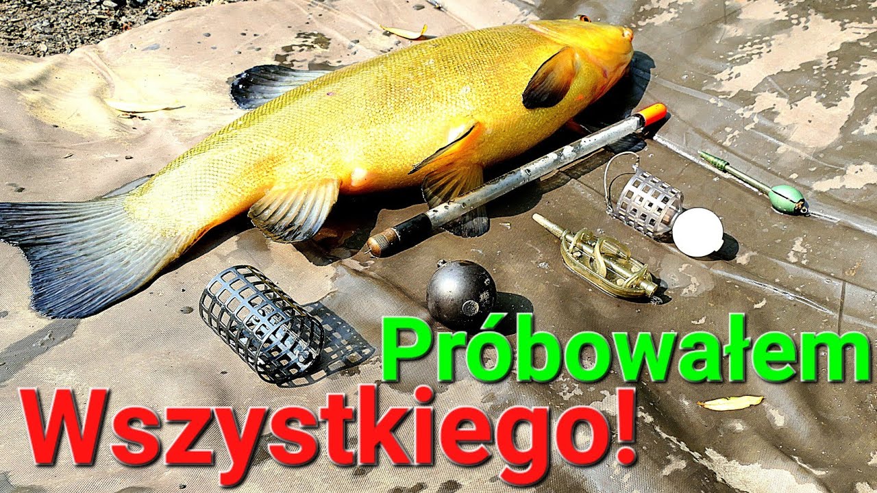 Próbowałem wszystkiego! Method Feeder, Bomb Feeder, Sinking Bomb, Pellet Wagller, Wędkarstwo na PZW