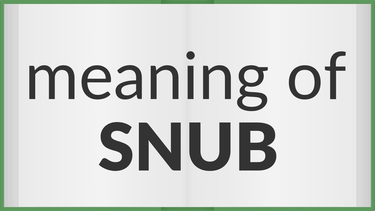 Snub | meaning of Snub