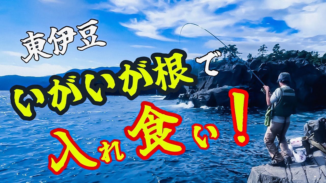 東伊豆「いがいが根」で爆釣れ！